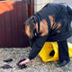Illustration for article titled 100+ Starlings Fall Dead Out Of The Sky And Into British Womans Yard